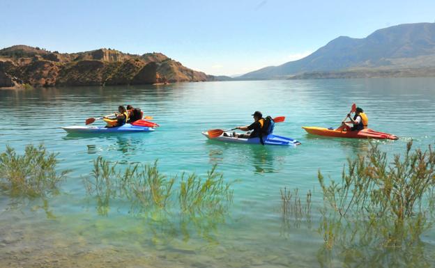 kayak